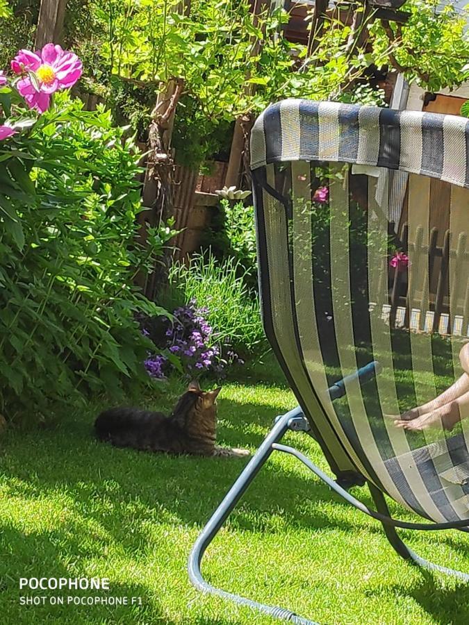 Ferienwohnung Gehl Monzingen Bagian luar foto